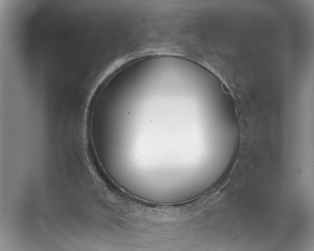 X0000071780008200607150107