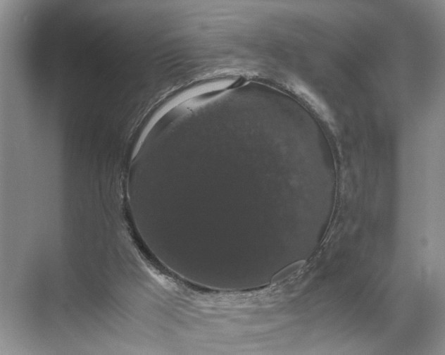 X0000071780009200607150107