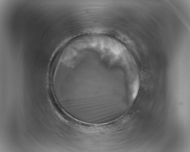 X0000071780012200607150107