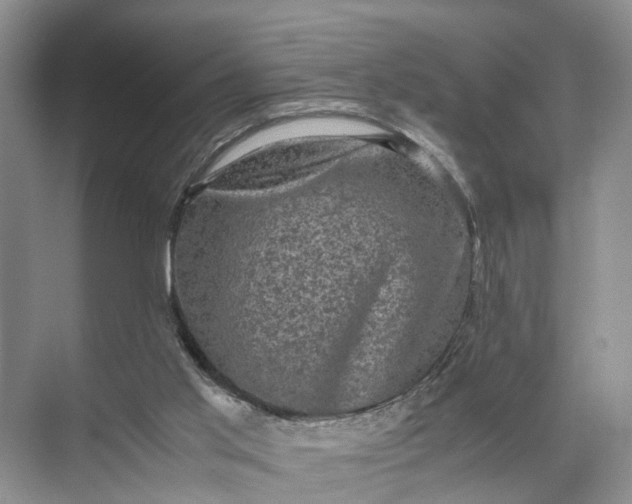 X0000071780013200607150107