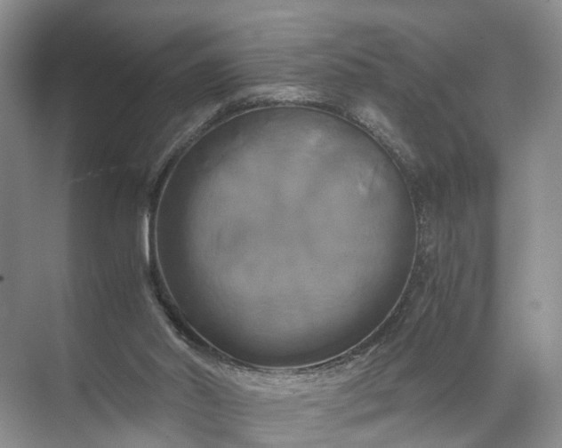 X0000071780014200607150107