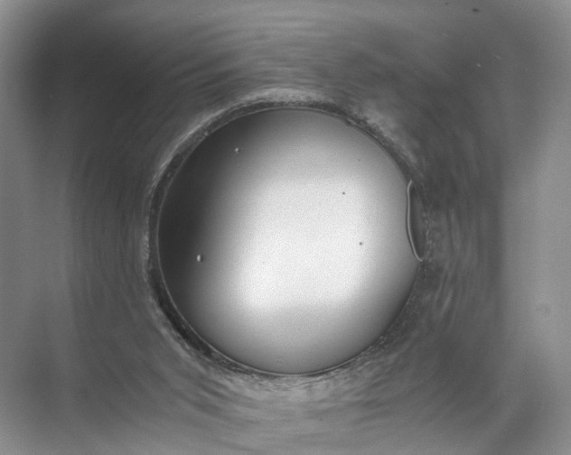 X0000071780015200607150107