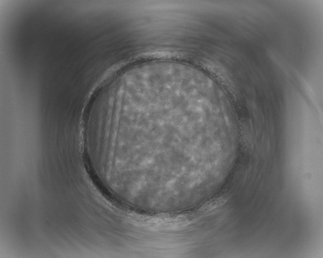 X0000071780016200607150107