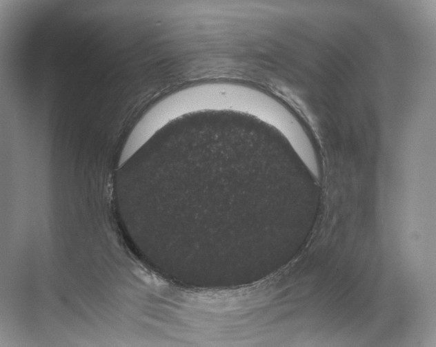 X0000071780017200607150107