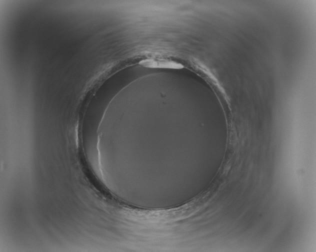 X0000071780019200607150107