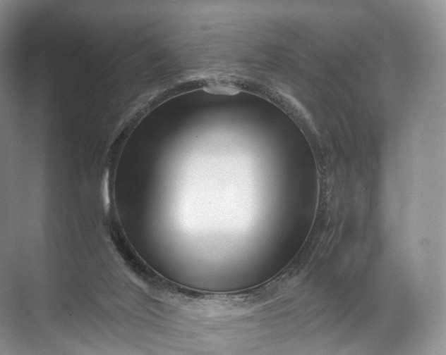 X0000071780020200607150106