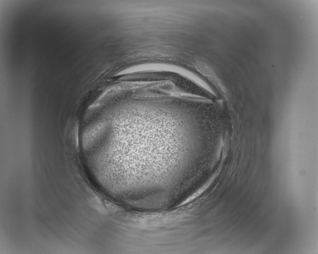 X0000071780021200607150106