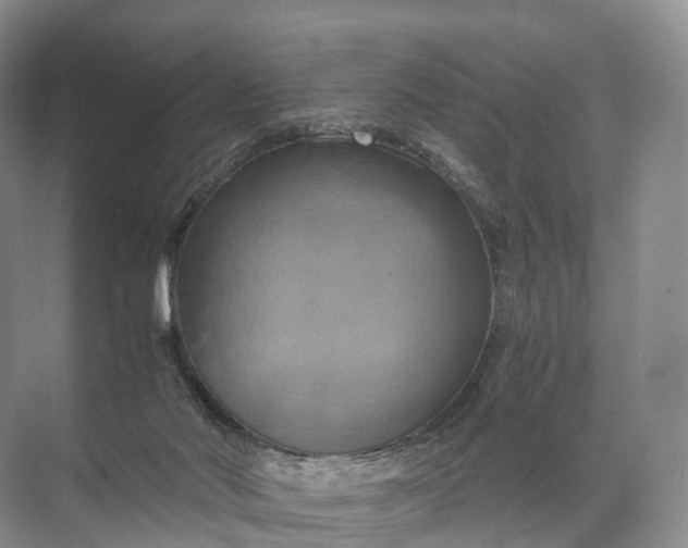 X0000071780022200607150106