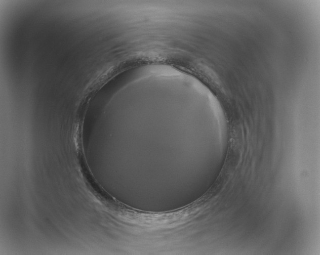 X0000071780023200607150106