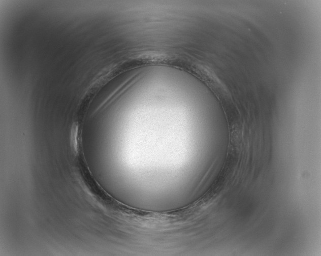 X0000071780024200607150106