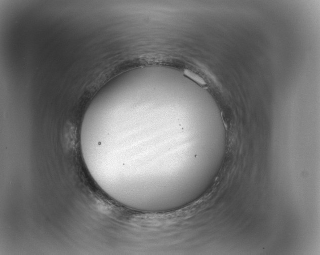 X0000071780025200607150106