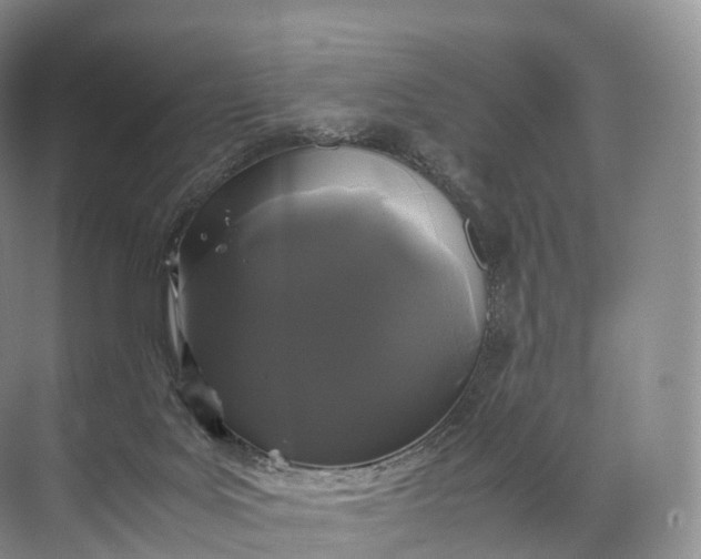 X0000071780027200607150106