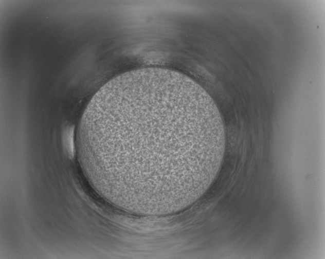 X0000071780028200607150106