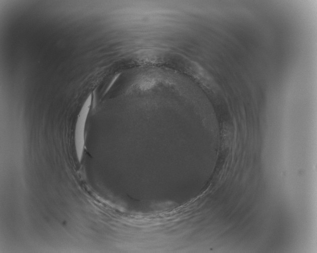 X0000071780029200607150106