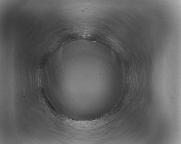 X0000071780030200607150106