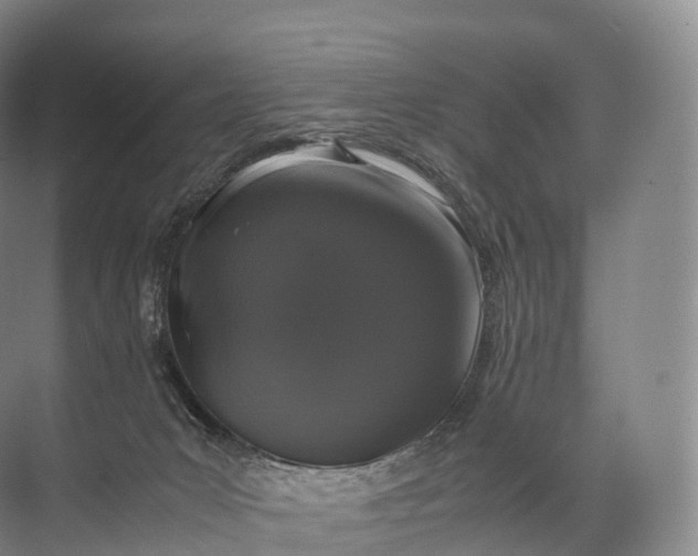 X0000071780031200607150106