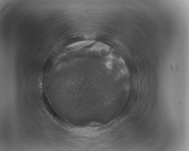 X0000071780032200607150106