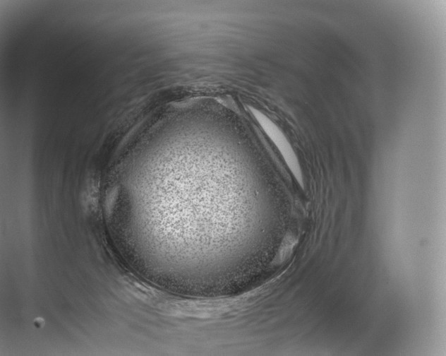 X0000071780033200607150106