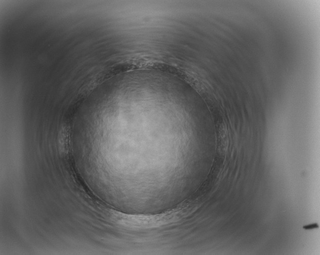 X0000071780034200607150106