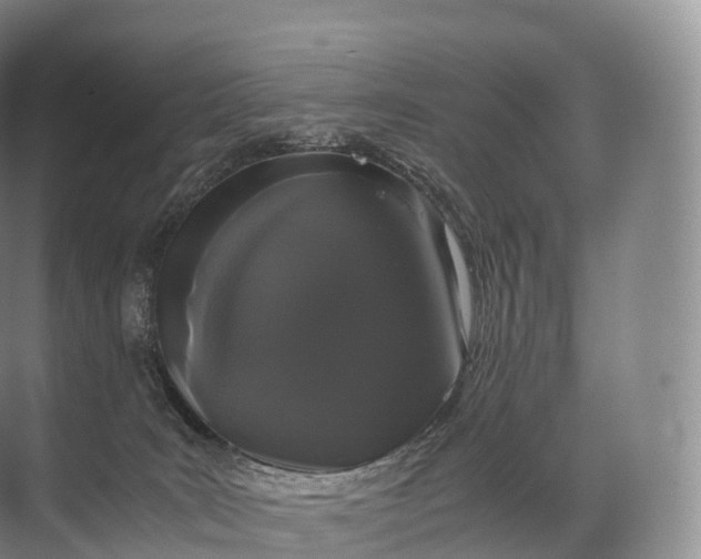 X0000071780035200607150106