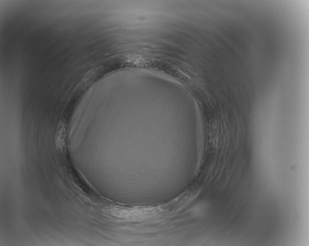 X0000071780036200607150106