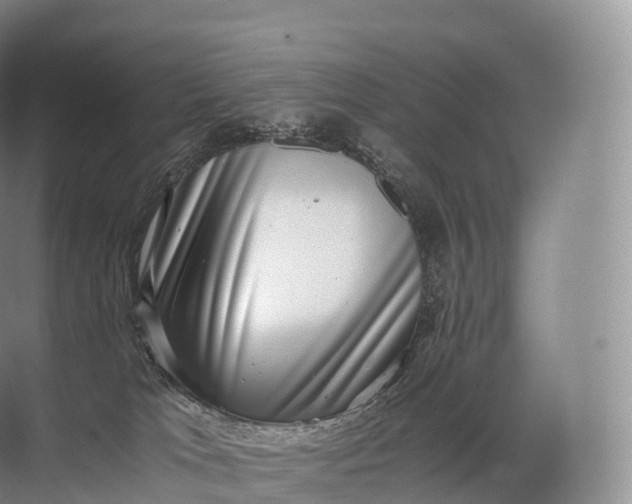 X0000071780037200607150106