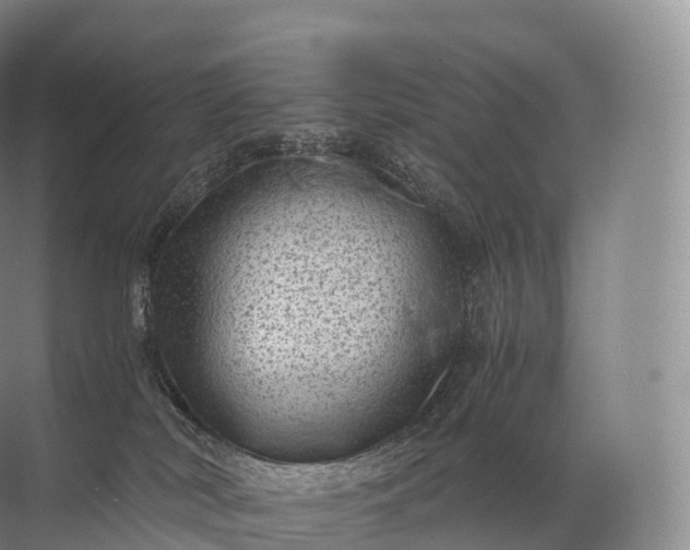 X0000071780038200607150106