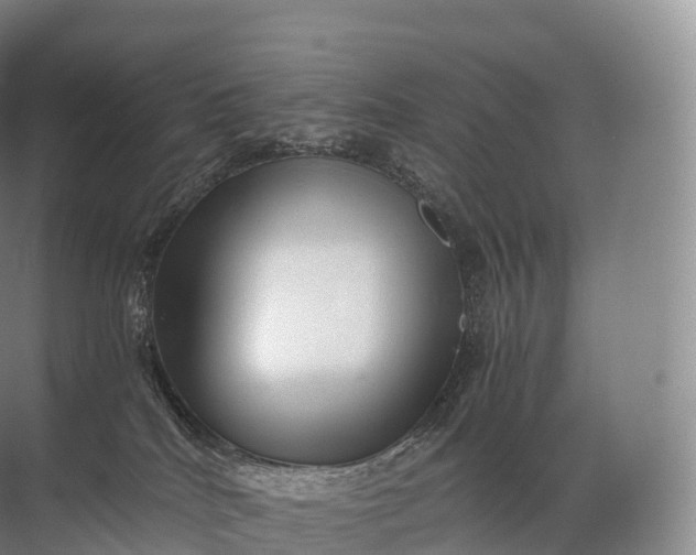 X0000071780040200607150106