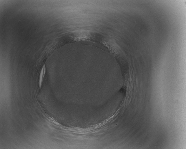 X0000071780041200607150106