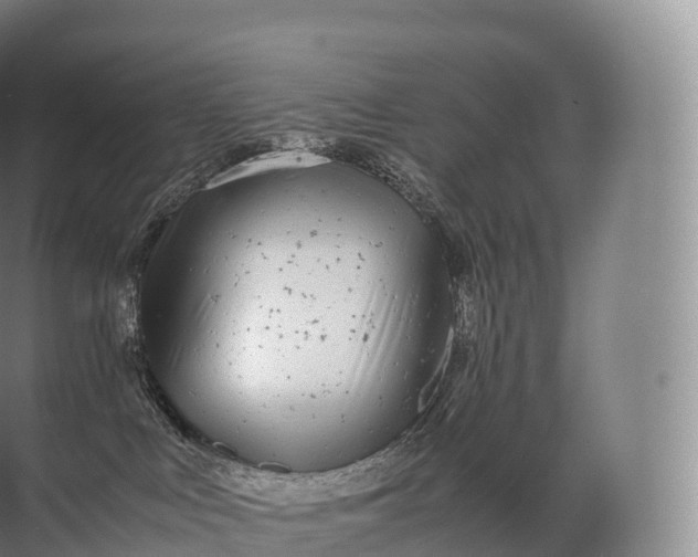 X0000071780043200607150106