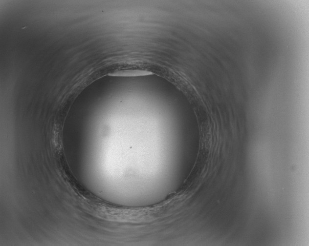 X0000071780044200607150106