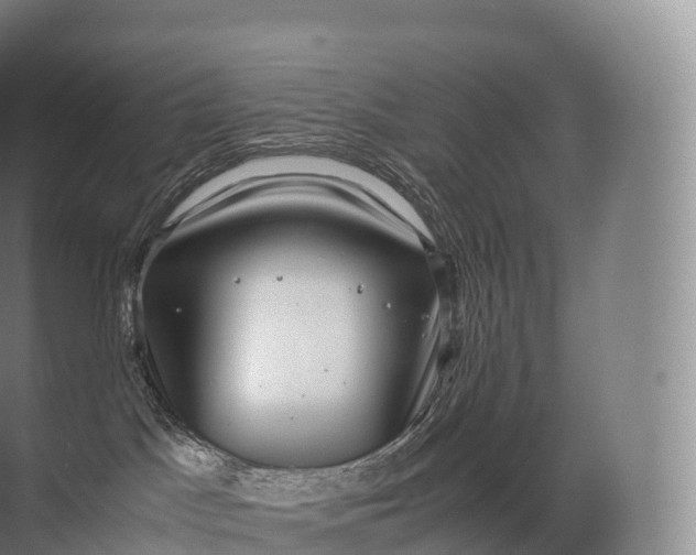 X0000071780045200607150106