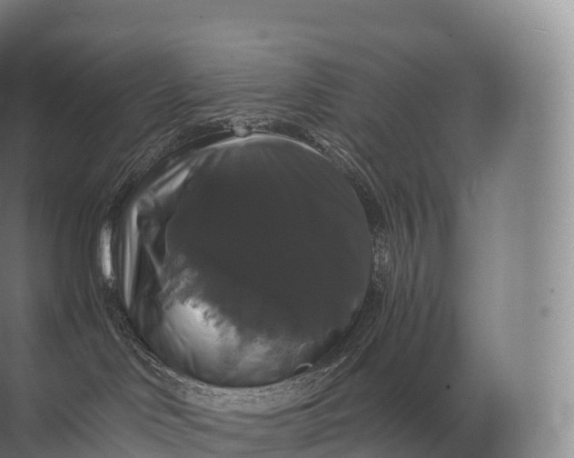 X0000071780046200607150106