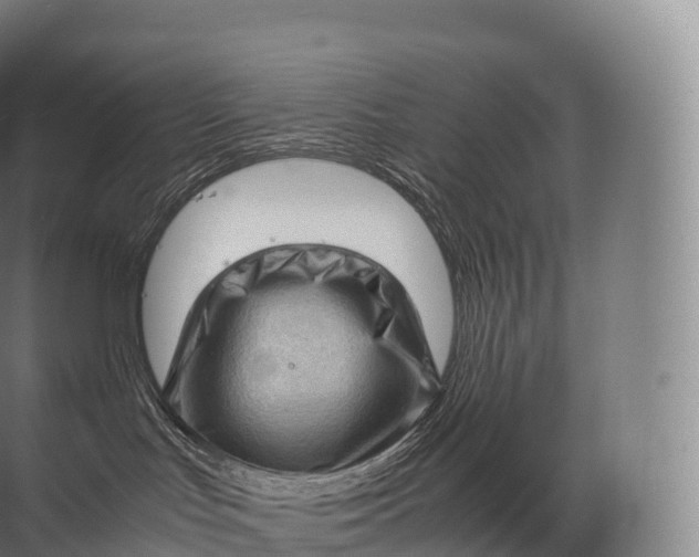 X0000071780047200607150106