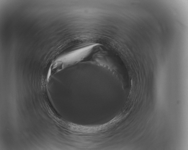 X0000071780048200607150106