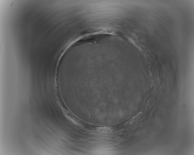 X0000071780050200607150105