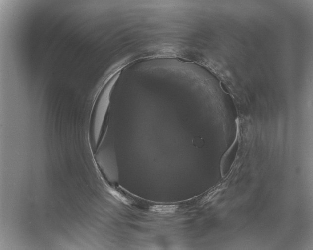 X0000071780051200607150105