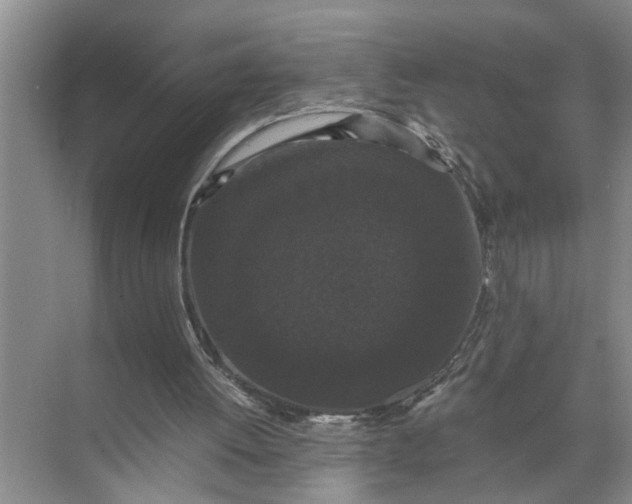 X0000071780052200607150105