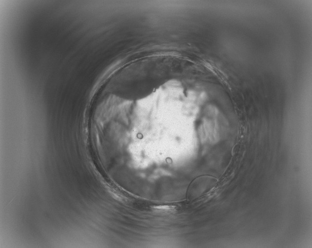 X0000071780053200607150105