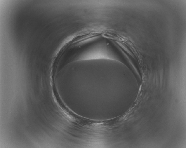 X0000071780054200607150105