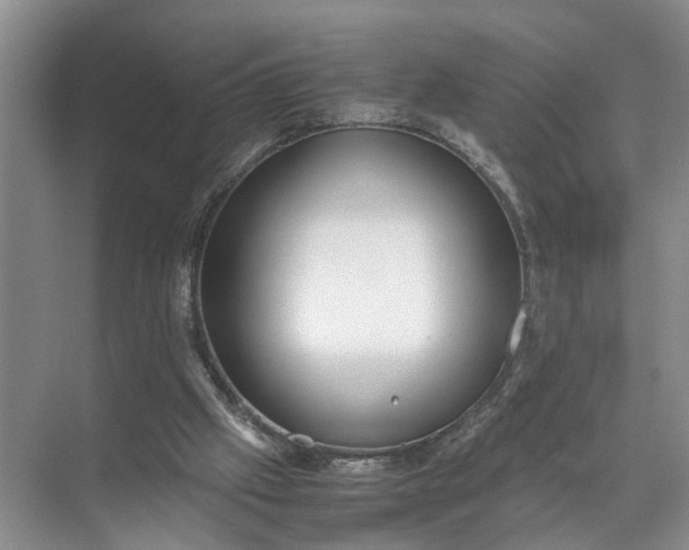 X0000071780057200607150105