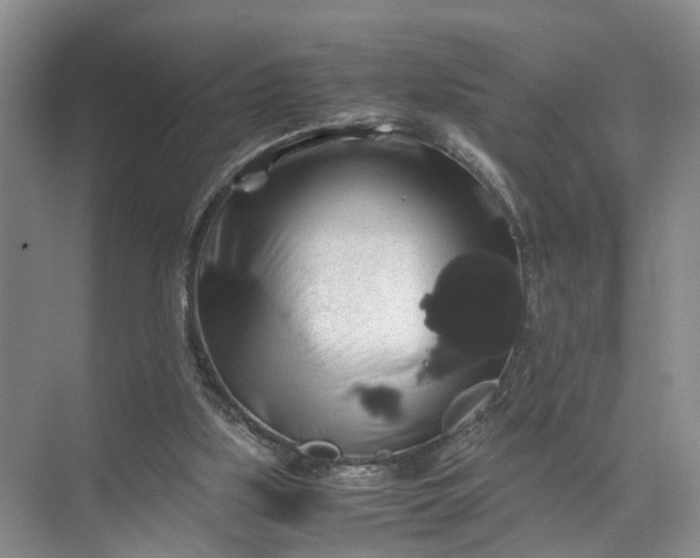 X0000071780059200607150105