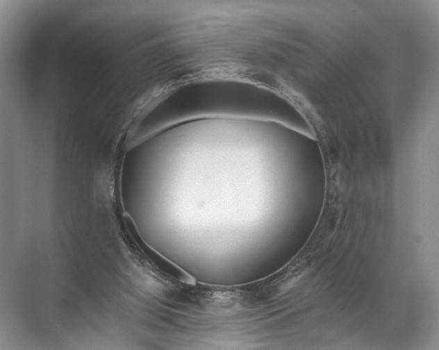 X0000071780060200607150105