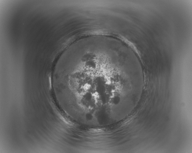 X0000071780061200607150105