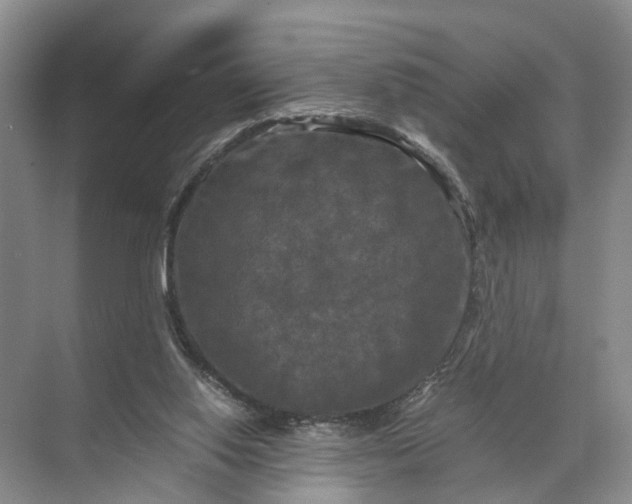 X0000071780062200607150105