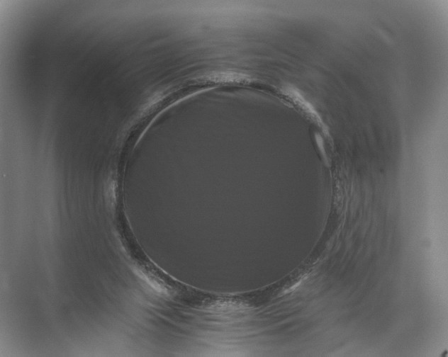 X0000071780063200607150105