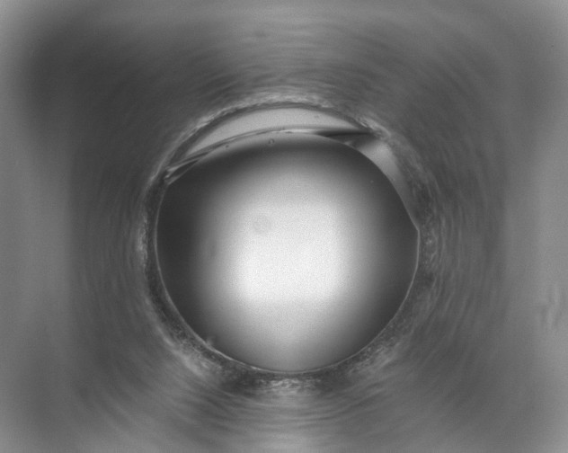 X0000071780064200607150105