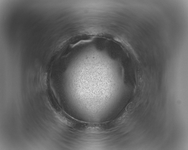 X0000071780066200607150105