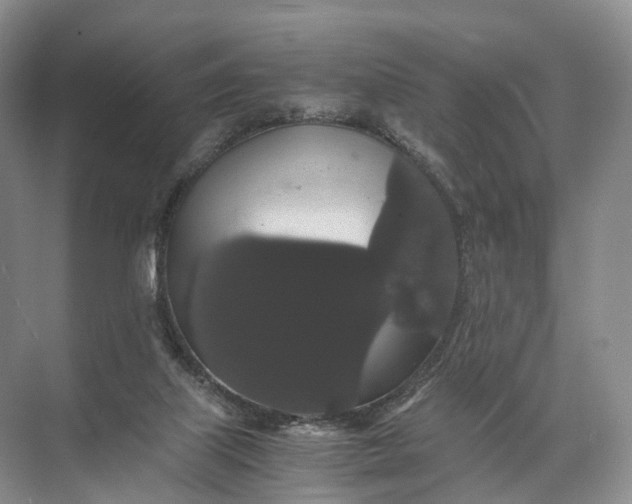 X0000071780067200607150106