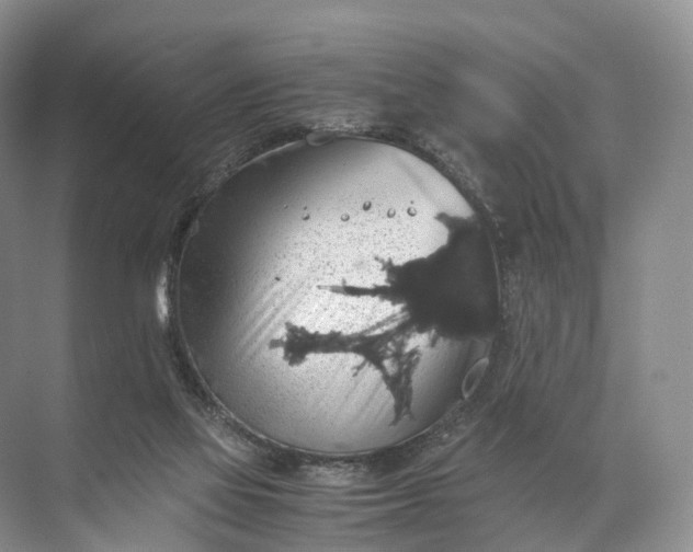 X0000071780069200607150106